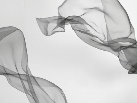 FeatherSilk