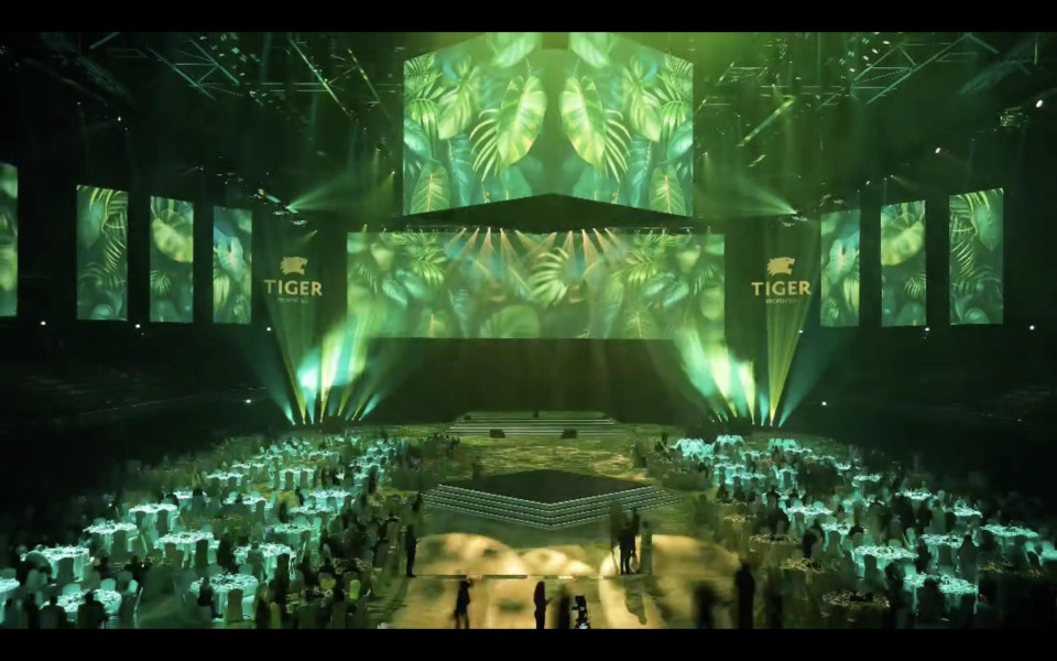 Front projection screens, diffuser fabrics and reveal systems for building reveal