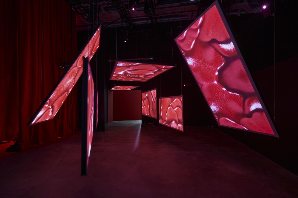 Immersive projections on retro projection screens